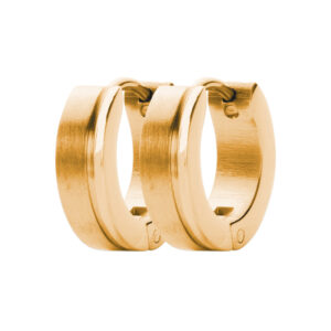 Örhänge Stål Guldfärgad